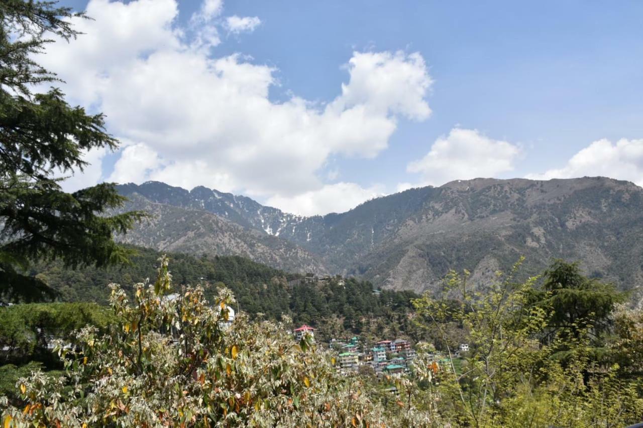 Misty Woods Hotel Dharamshala Buitenkant foto