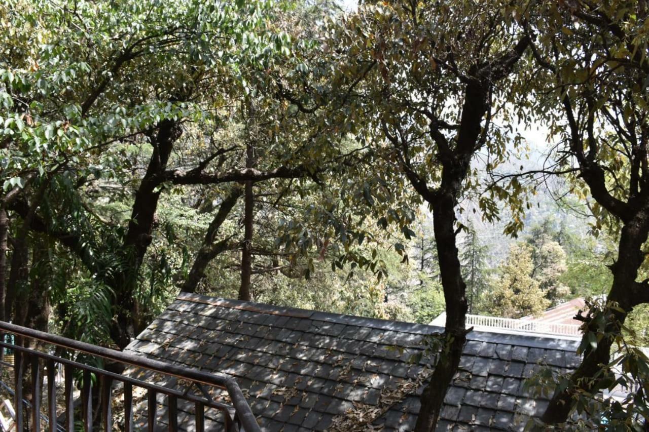Misty Woods Hotel Dharamshala Buitenkant foto