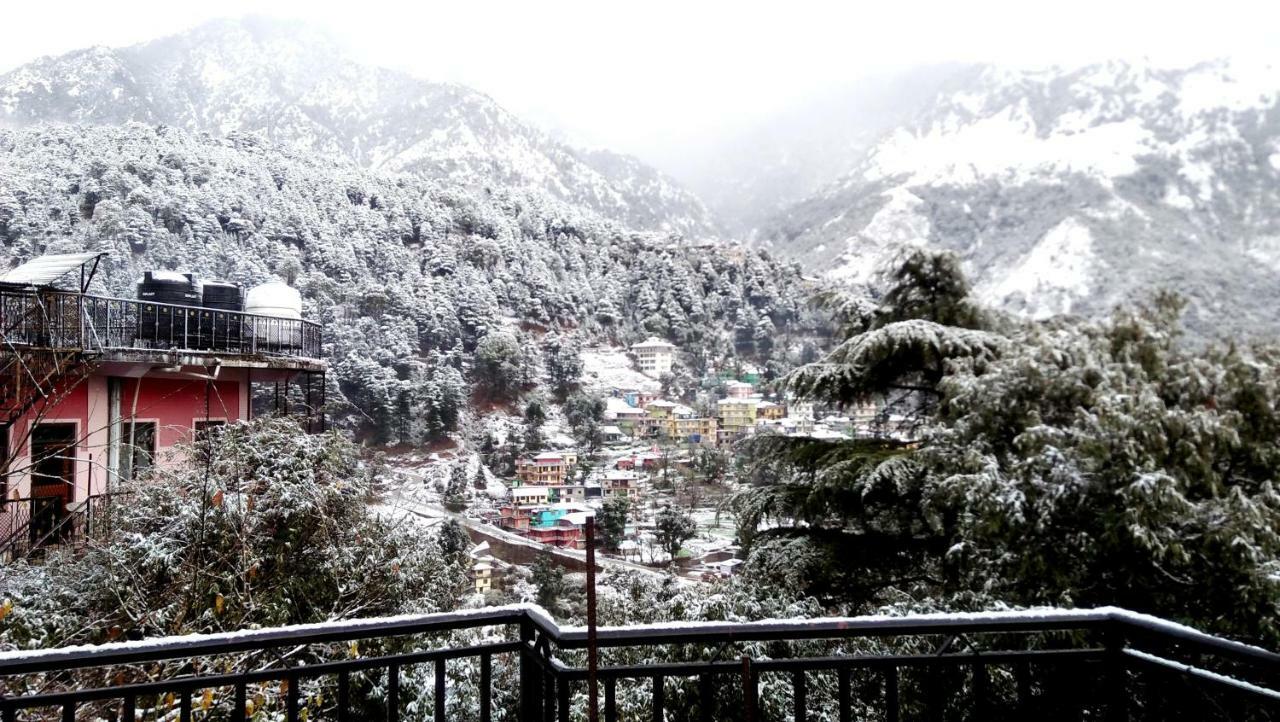 Misty Woods Hotel Dharamshala Buitenkant foto